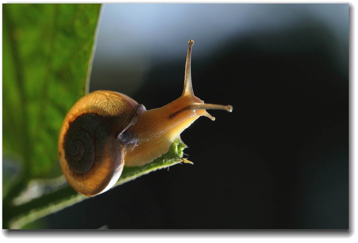 #ZOL国庆随手拍#乐山井研大佛水库