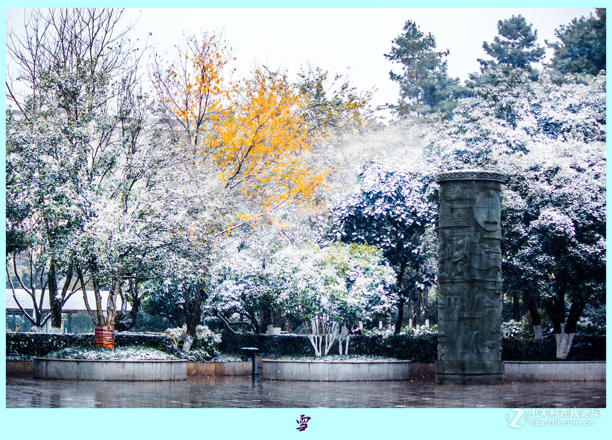 雪