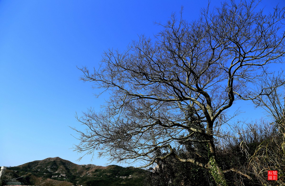 东方巴黎圣母院 《石塘》