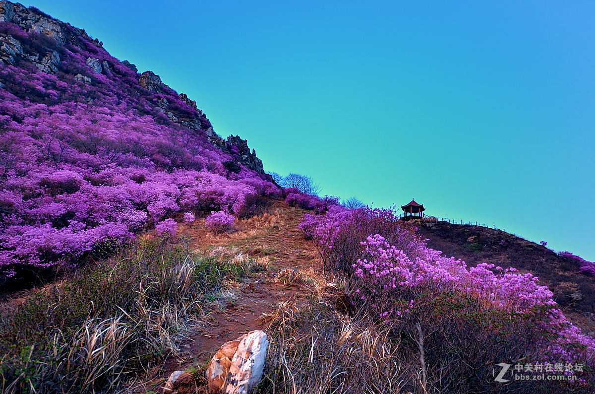 高山春色