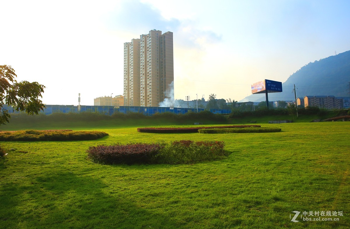 国庆期间对焦屏划伤后的照片