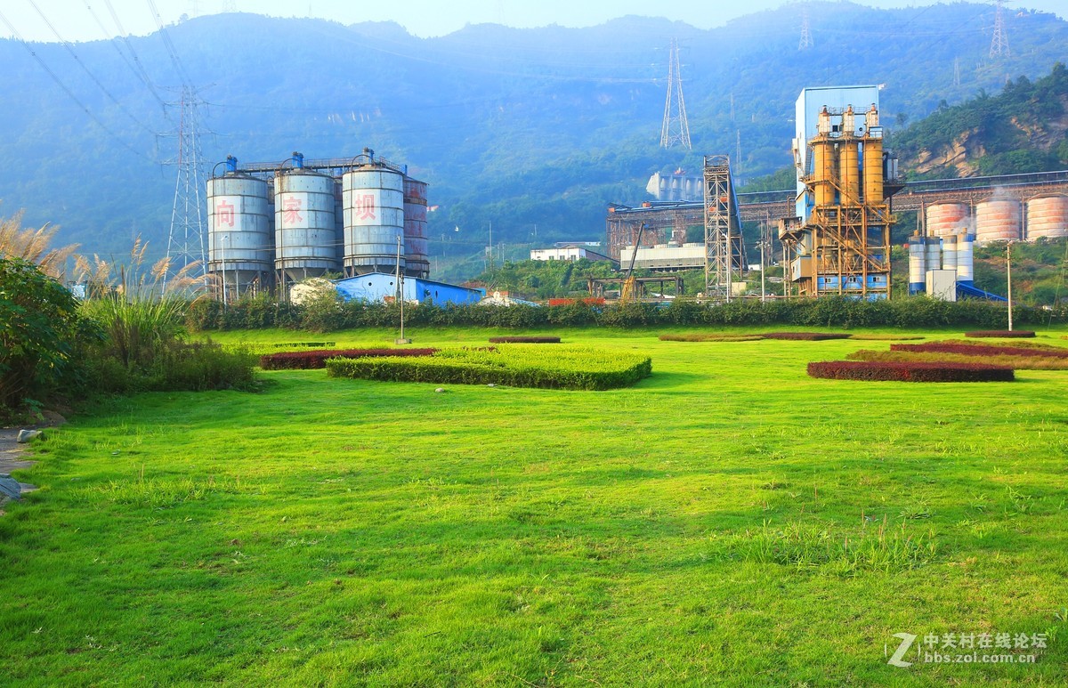 国庆期间对焦屏划伤后的照片