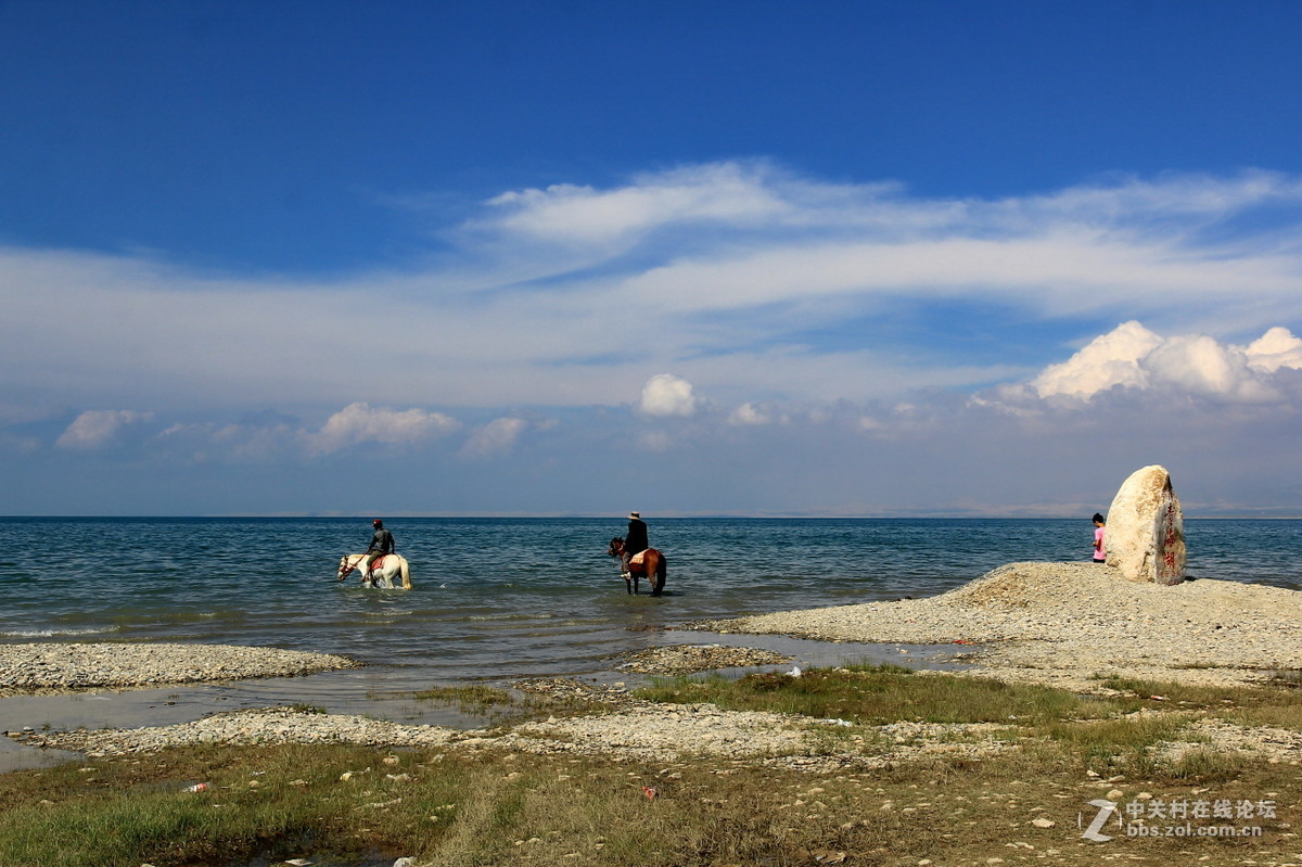 8月青海湖