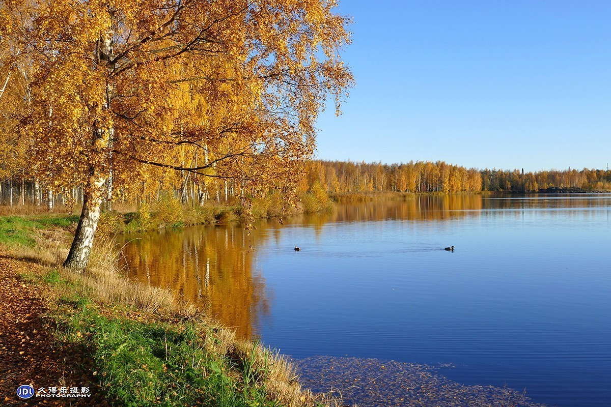 #版主坐堂#小五星空(中国)2018年一月精品荟萃