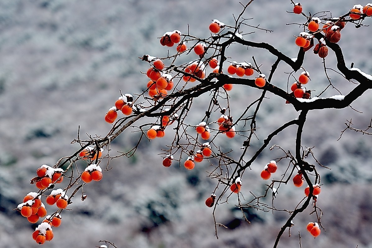 #版主坐堂#小五星空(中国)2018年一月精品荟萃
