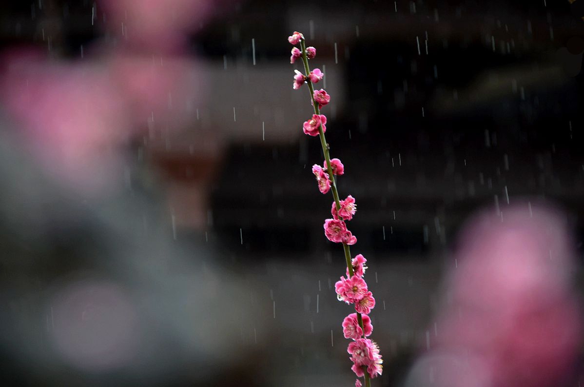 #版主坐堂#小五星空(中国)2018年一月精品荟萃