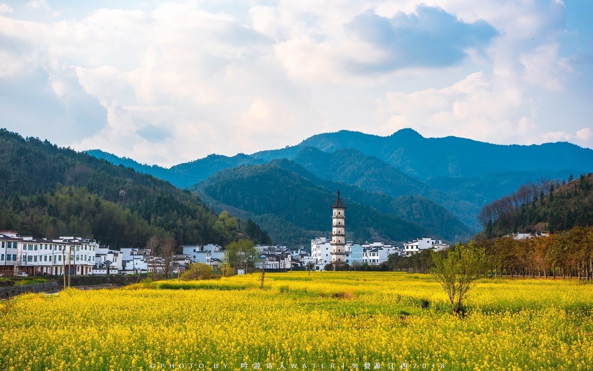 江西婺源油菜花行摄记 --- d750 14-24 24-70e vr 70-300d 35 1.4g-中