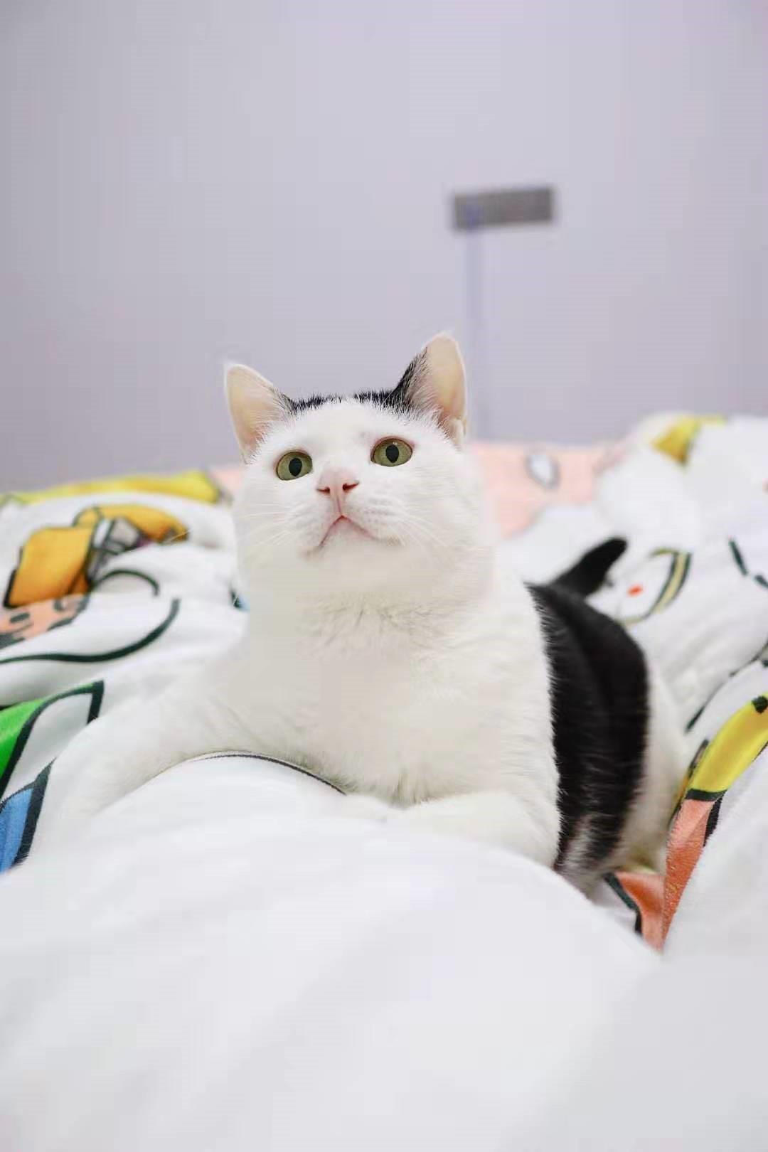 旅游男友不会照相，需要试试相机的连拍功能