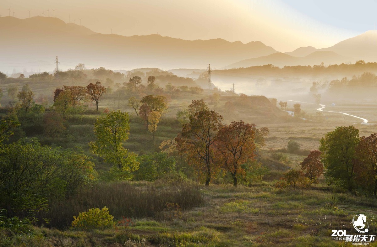 蜂摄天下——大悟乌桕红叶