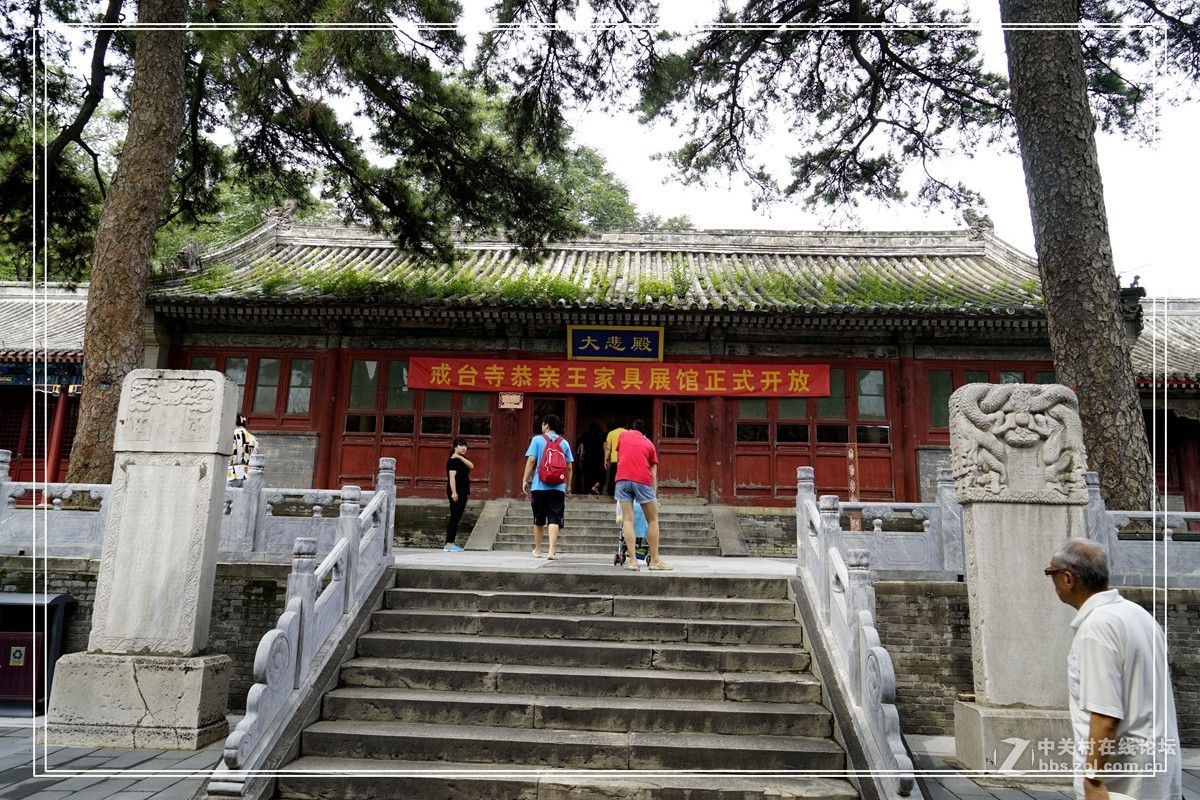 戒台寺——欣赏古树