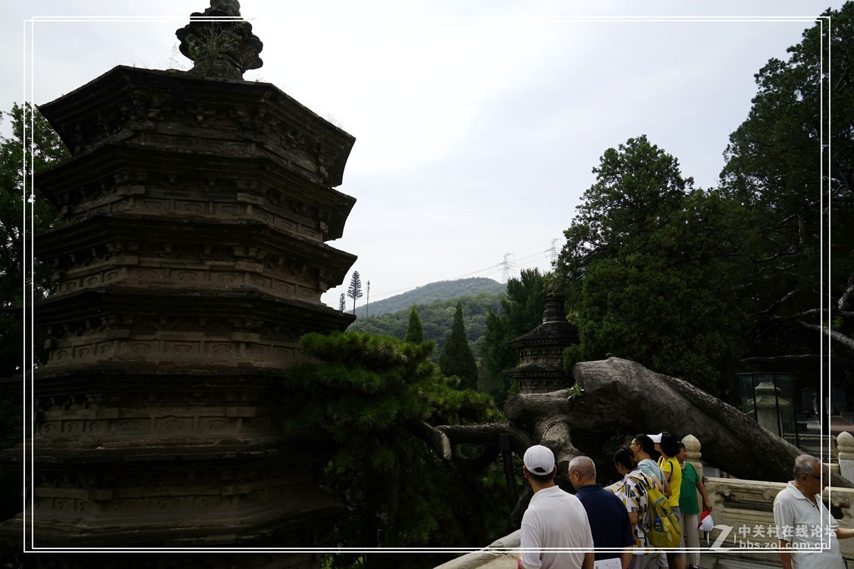 戒台寺——欣赏古树