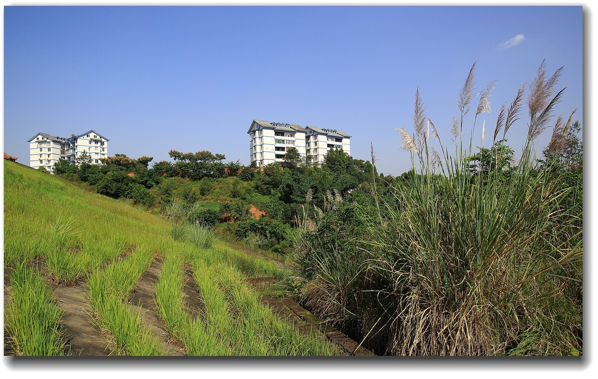 #ZOL国庆随手拍#乐山井研大佛水库