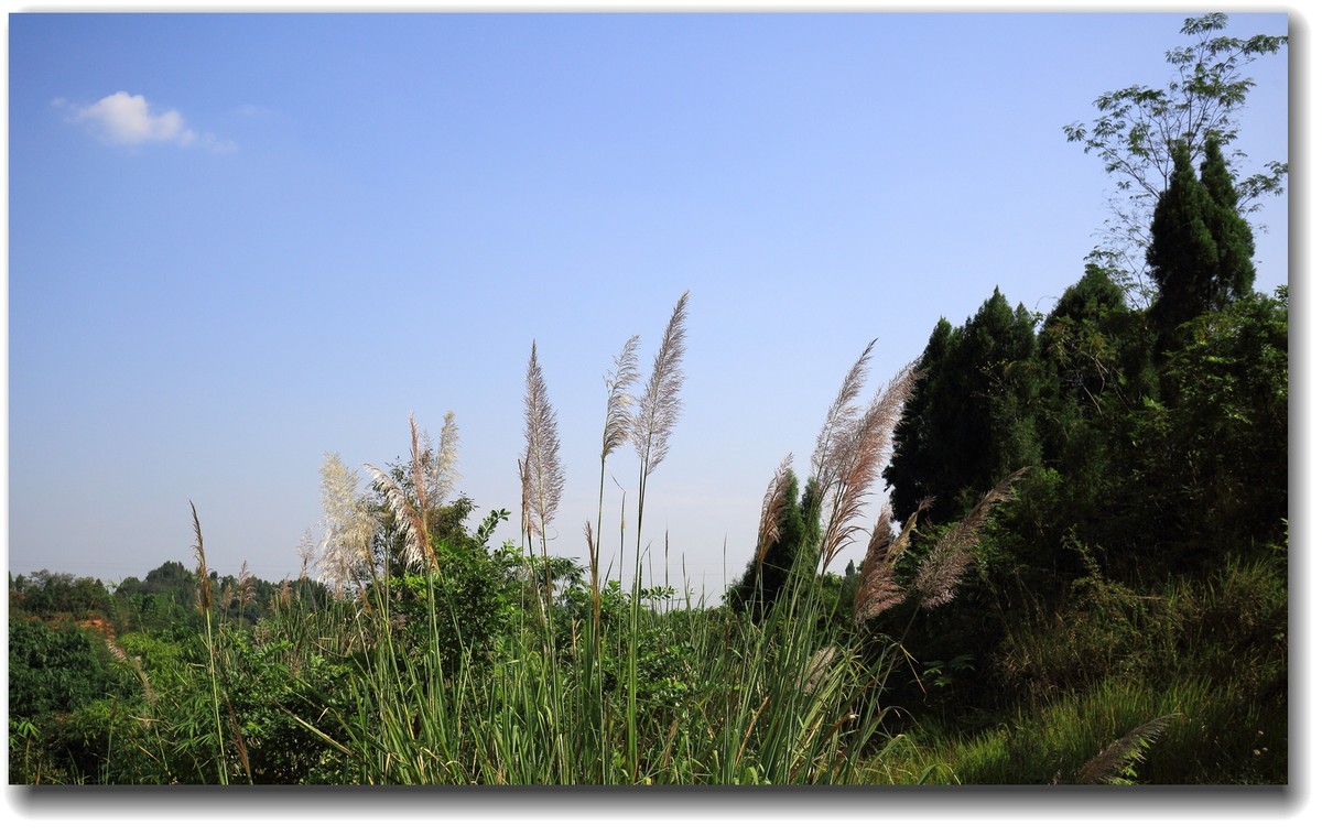 #ZOL国庆随手拍#乐山井研大佛水库