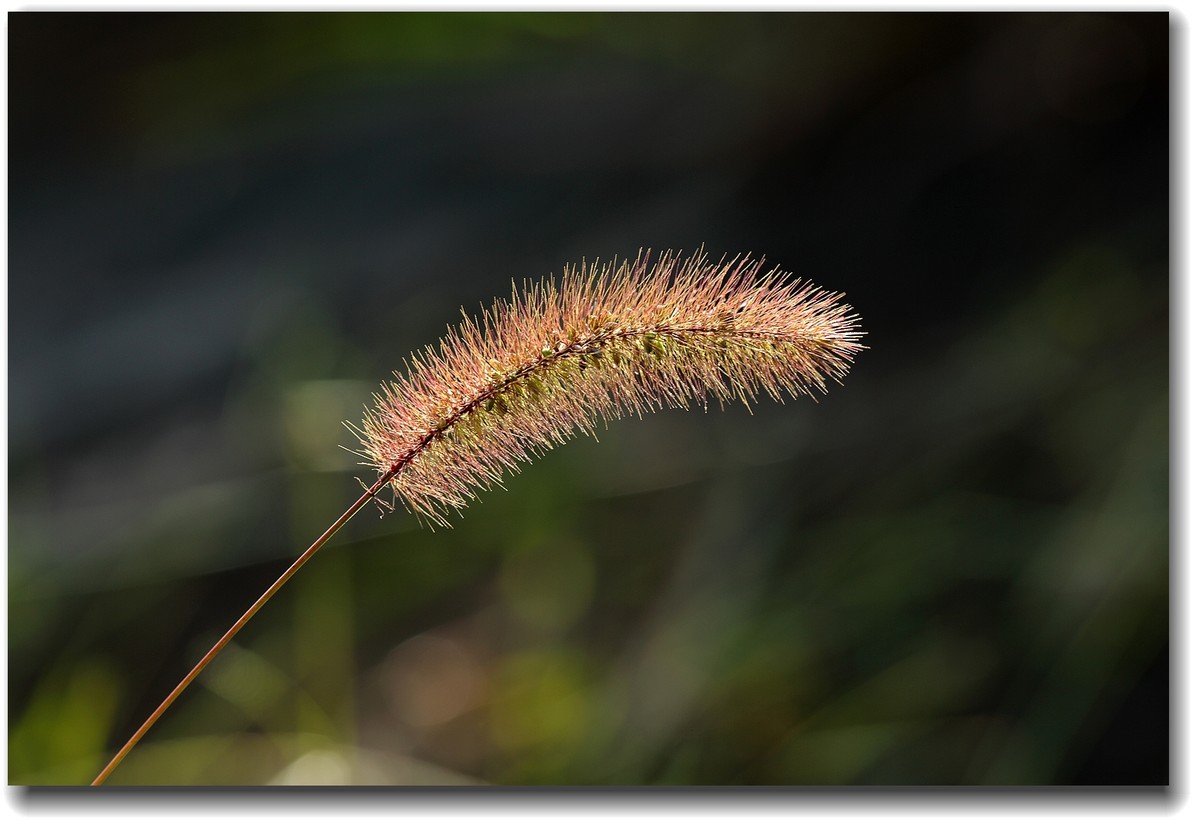 #ZOL国庆随手拍#乐山井研大佛水库