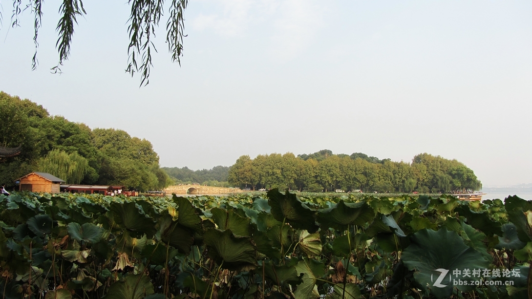 华东魅影——江南忆