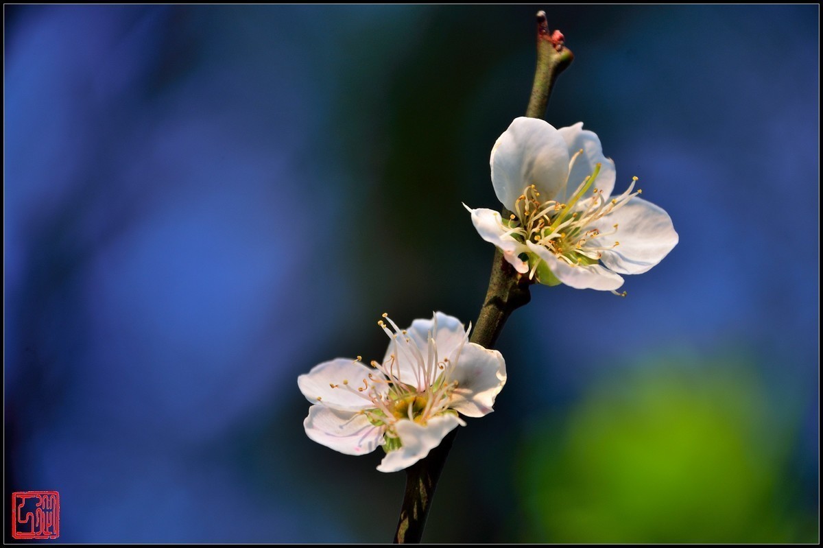 #版主坐堂#小五星空(中国)2018年一月精品荟萃