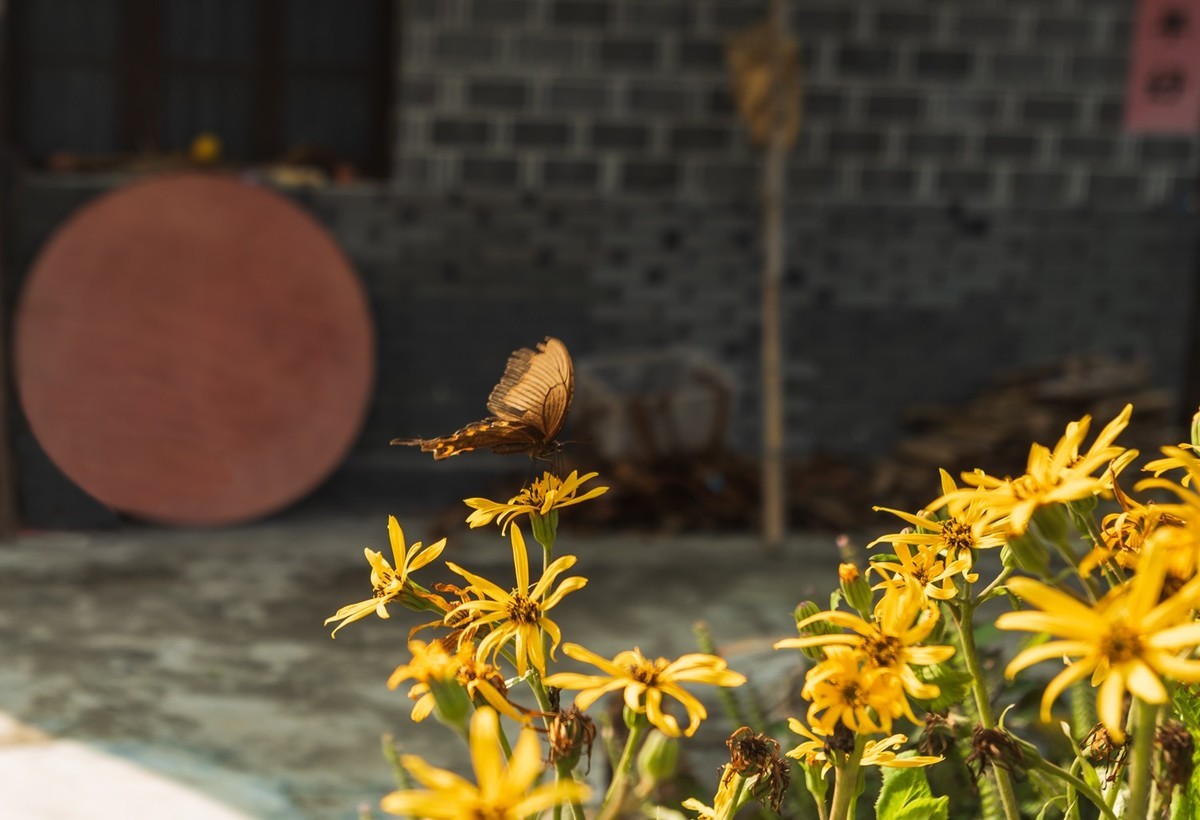 爱国主义教育一代代传下去