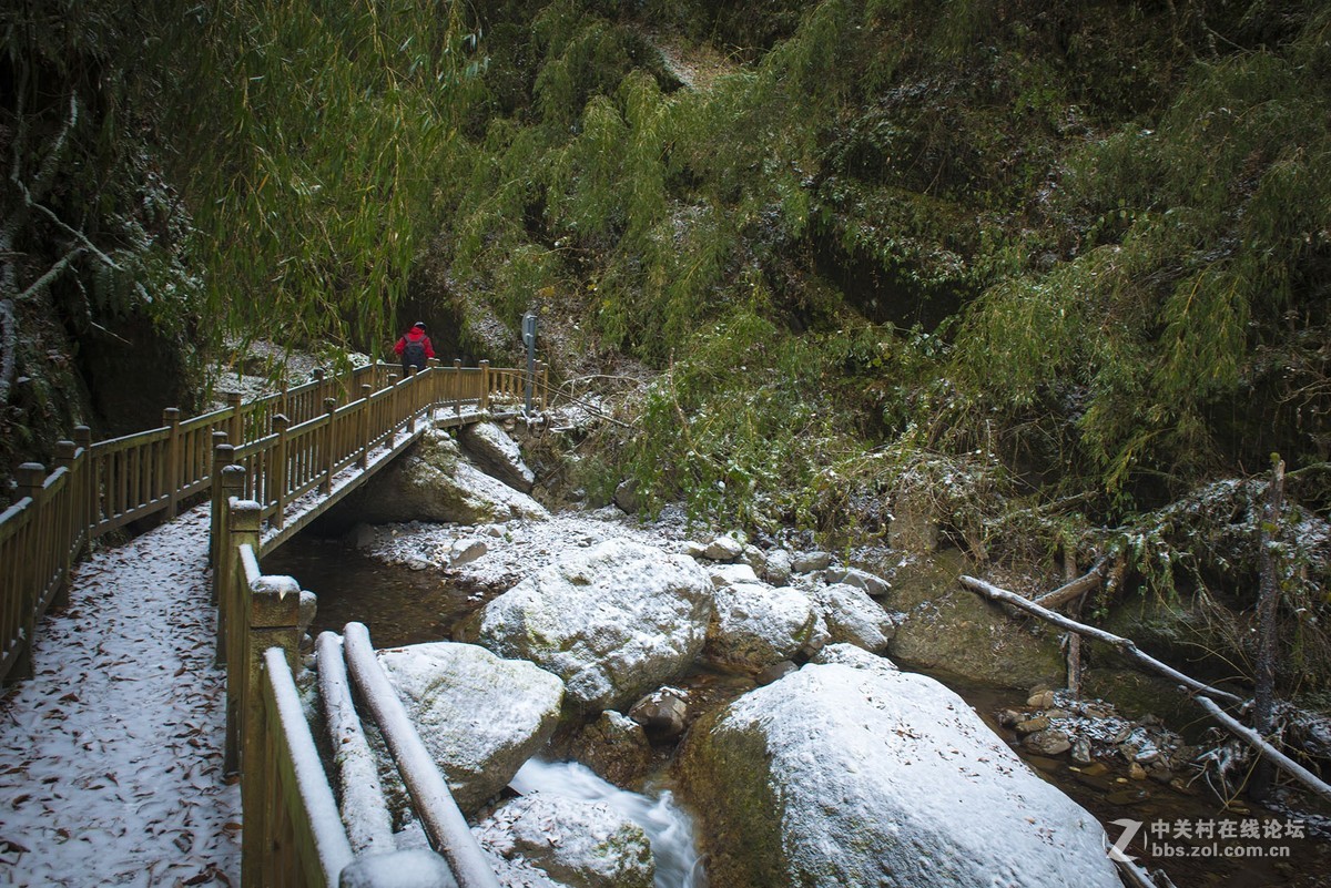 四川崇州雞冠山龍燈溝隨拍