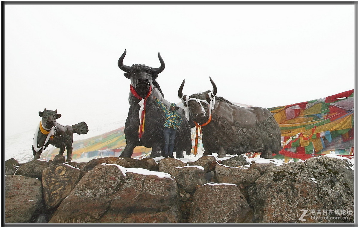 拉萨到林芝沿途风光