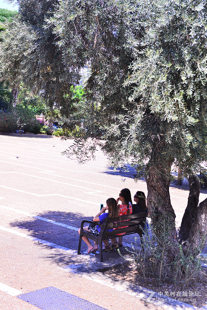 以色列旅游（13）-------特拉维夫街头