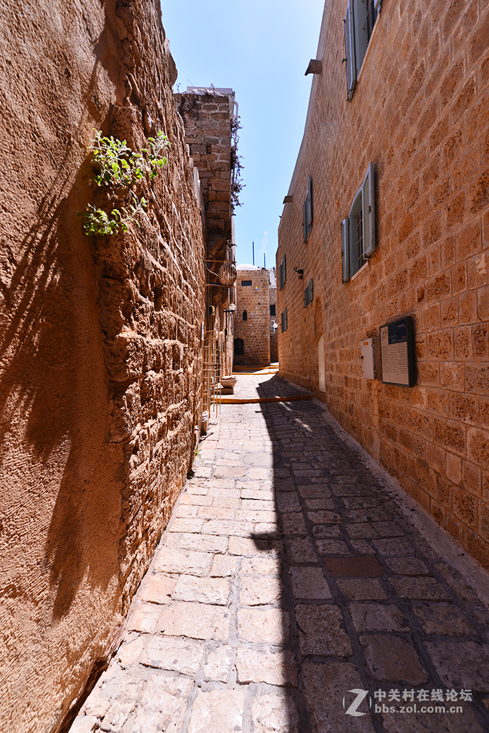 以色列旅游（13）-------特拉维夫街头