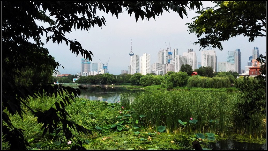 南运河带状公园