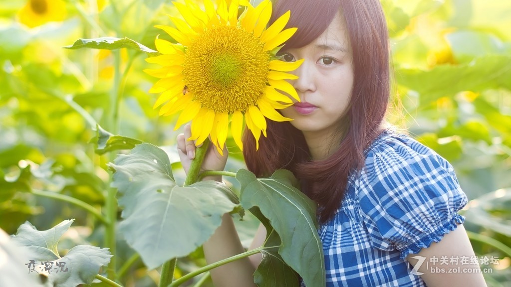 广州的摄影朋友们，知道那里有麻豆拍吗？求大师指示。