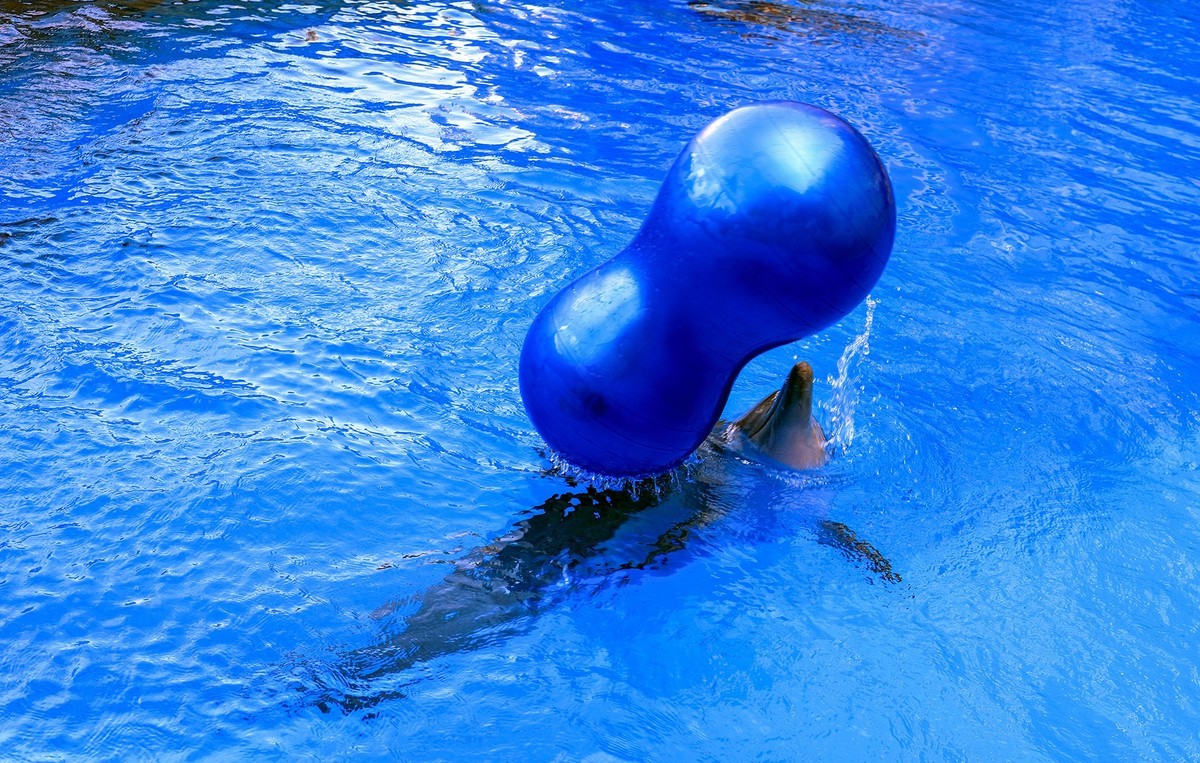 珠海长隆国际海洋度假区（游记）