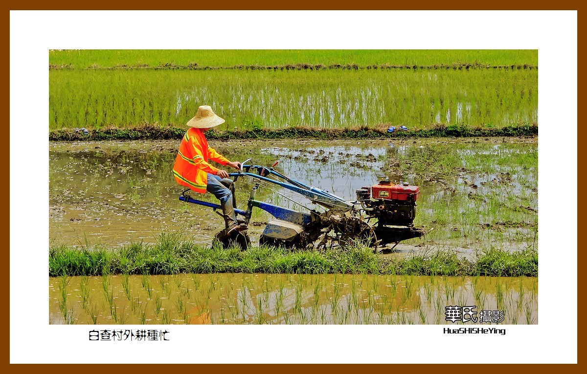 海南岛旅游——白查村外耕种忙（海南岛东方市江边乡）