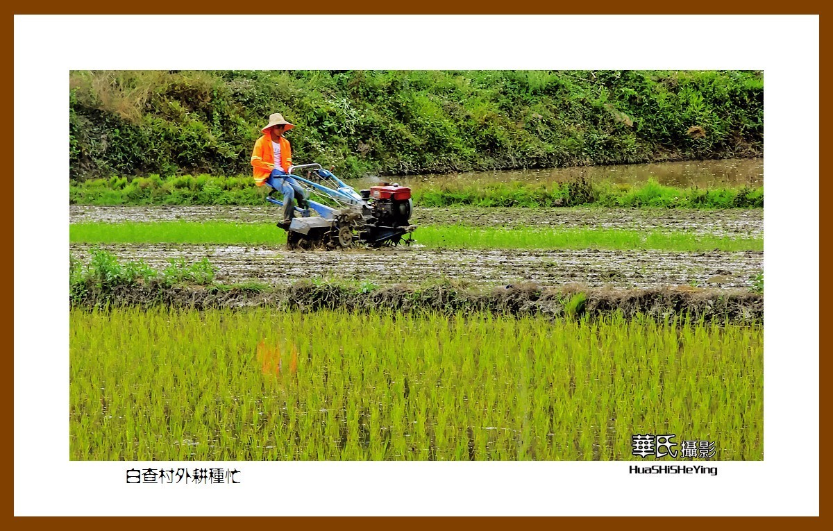 海南岛旅游——白查村外耕种忙（海南岛东方市江边乡）
