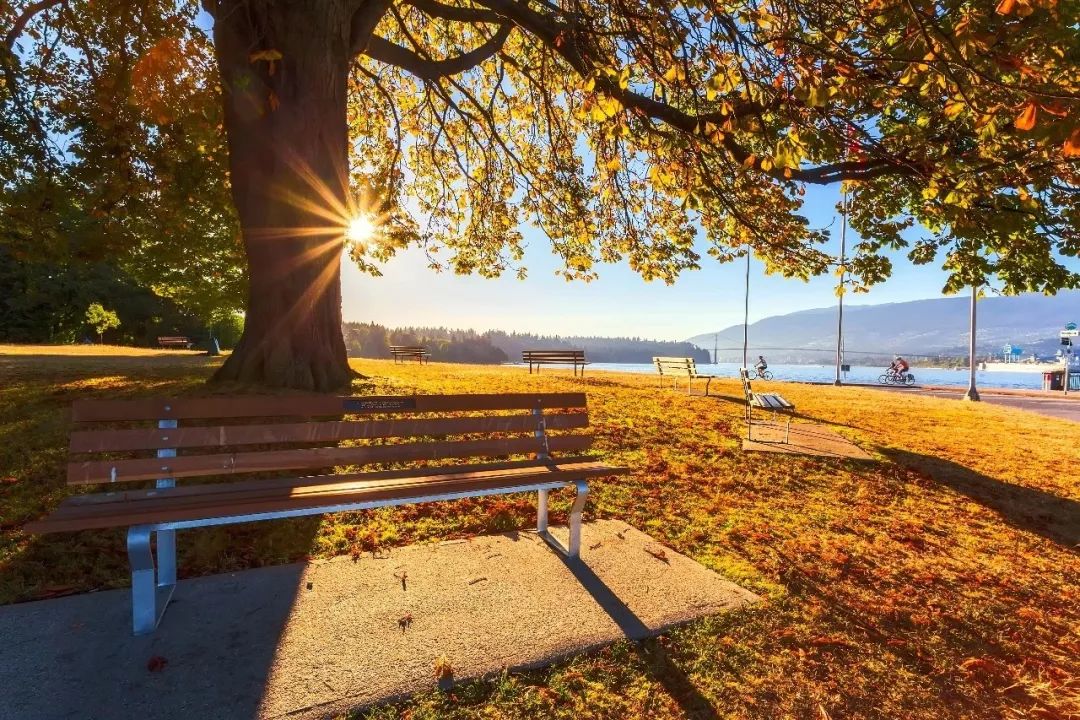 加拿大最美枫叶季，赴加生子待产最佳赏枫景点一览