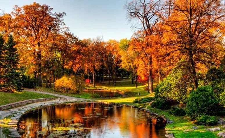 加拿大最美枫叶季，赴加生子待产最佳赏枫景点一览