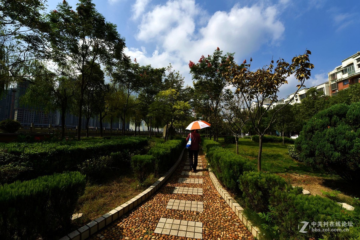 国庆节——家门口的风光