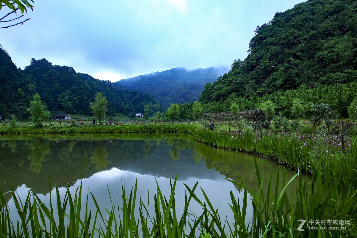 綦江花坝（下）
