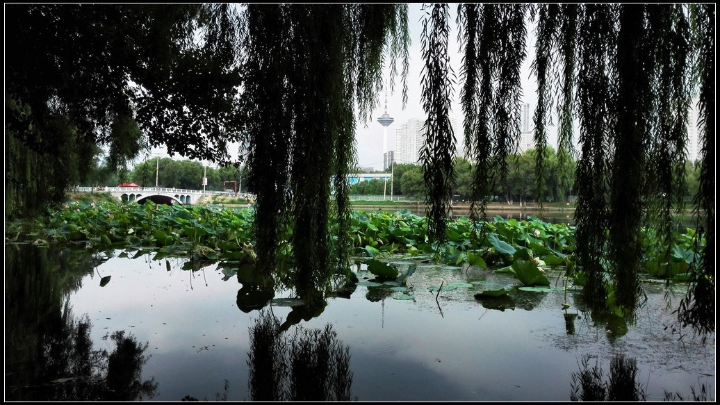 南运河带状公园