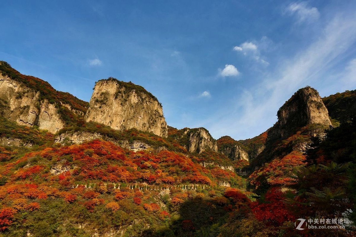 满山红叶，层林尽染【摄于忽忽水空中画廊】