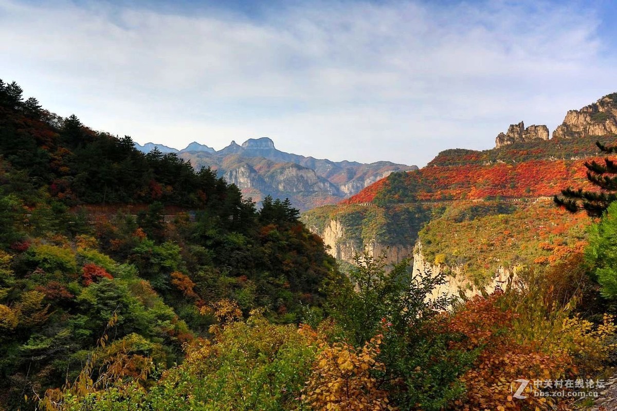 满山红叶，层林尽染【摄于忽忽水空中画廊】