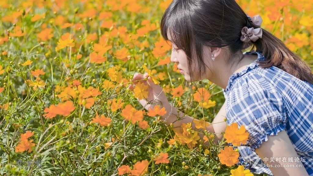 广州的摄影朋友们，知道那里有麻豆拍吗？求大师指示。