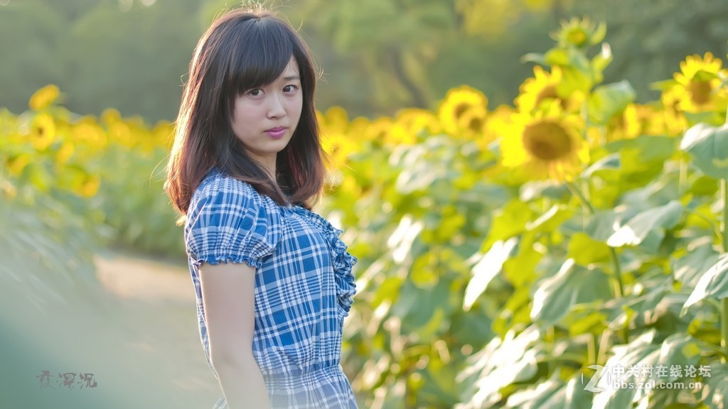 广州的摄影朋友们，知道那里有麻豆拍吗？求大师指示。