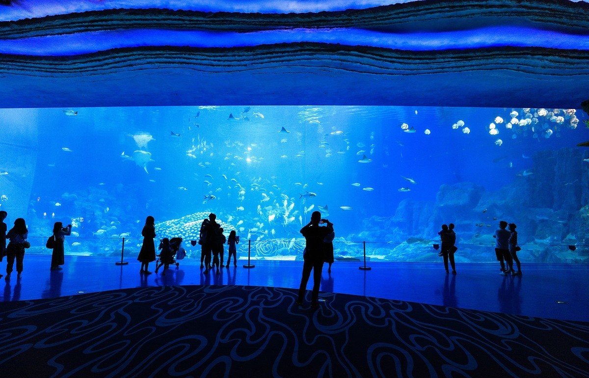 珠海长隆国际海洋度假区（游记）