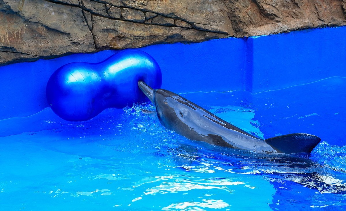 珠海长隆国际海洋度假区（游记）