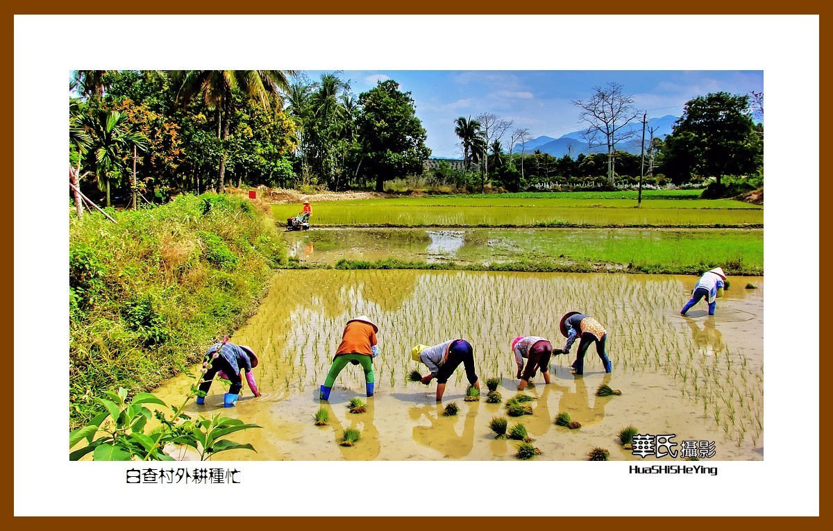 海南岛旅游——白查村外耕种忙（海南岛东方市江边乡）