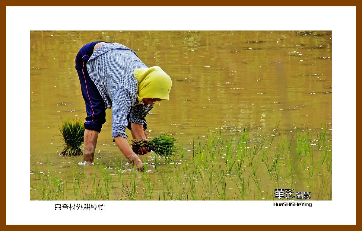 海南岛旅游——白查村外耕种忙（海南岛东方市江边乡）