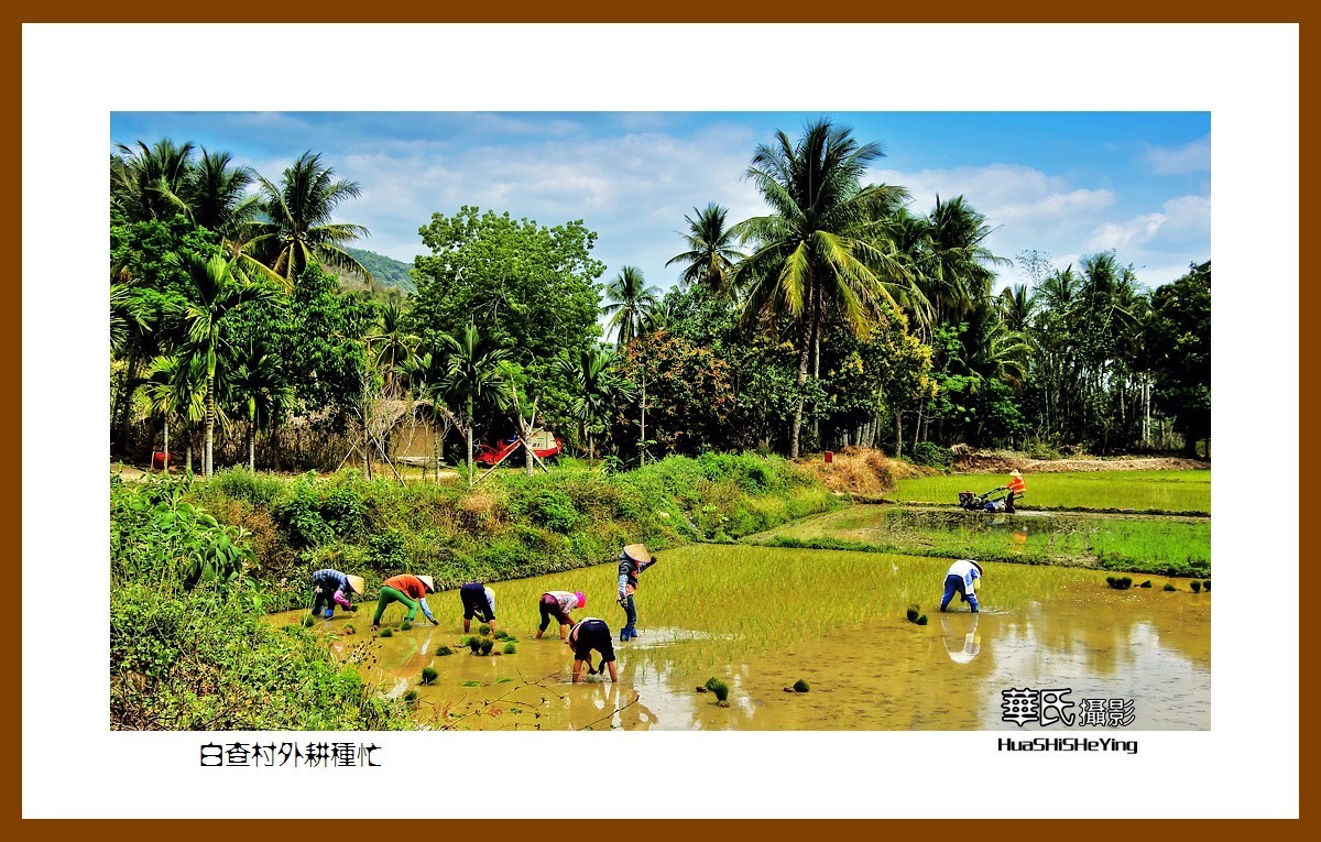 海南岛旅游——白查村外耕种忙（海南岛东方市江边乡）