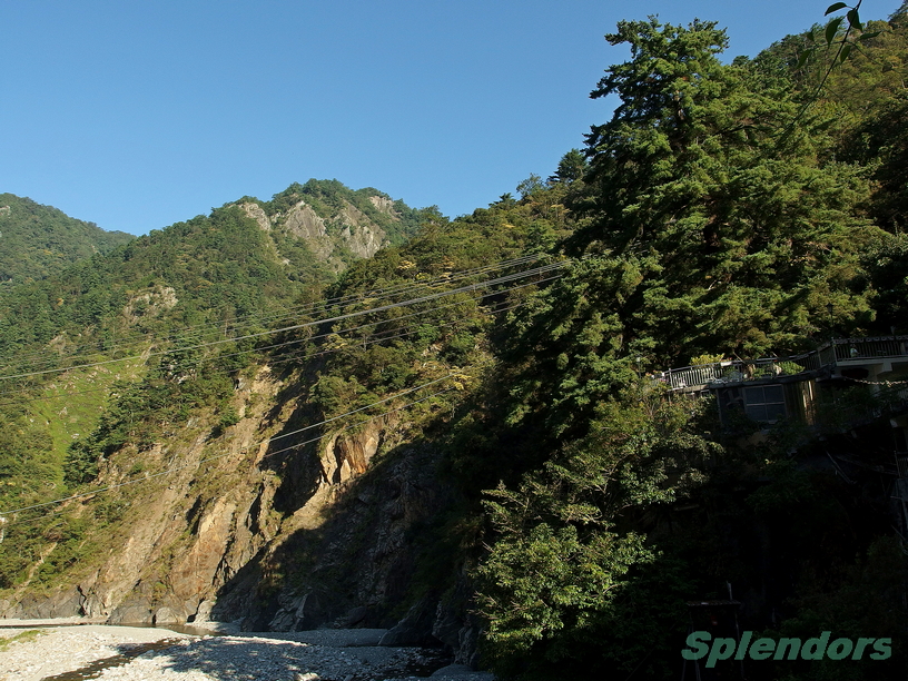 清晨山林步道  (與陽光槓上, 蓝天 + 绿林, 通通打包)