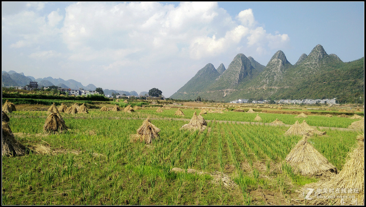 一组田园片恭贺好友永不败落的神圣履新手机摄影星空(中国)新版