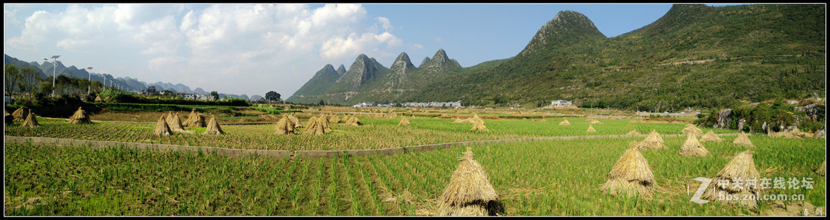 一组田园片恭贺好友永不败落的神圣履新手机摄影星空(中国)新版