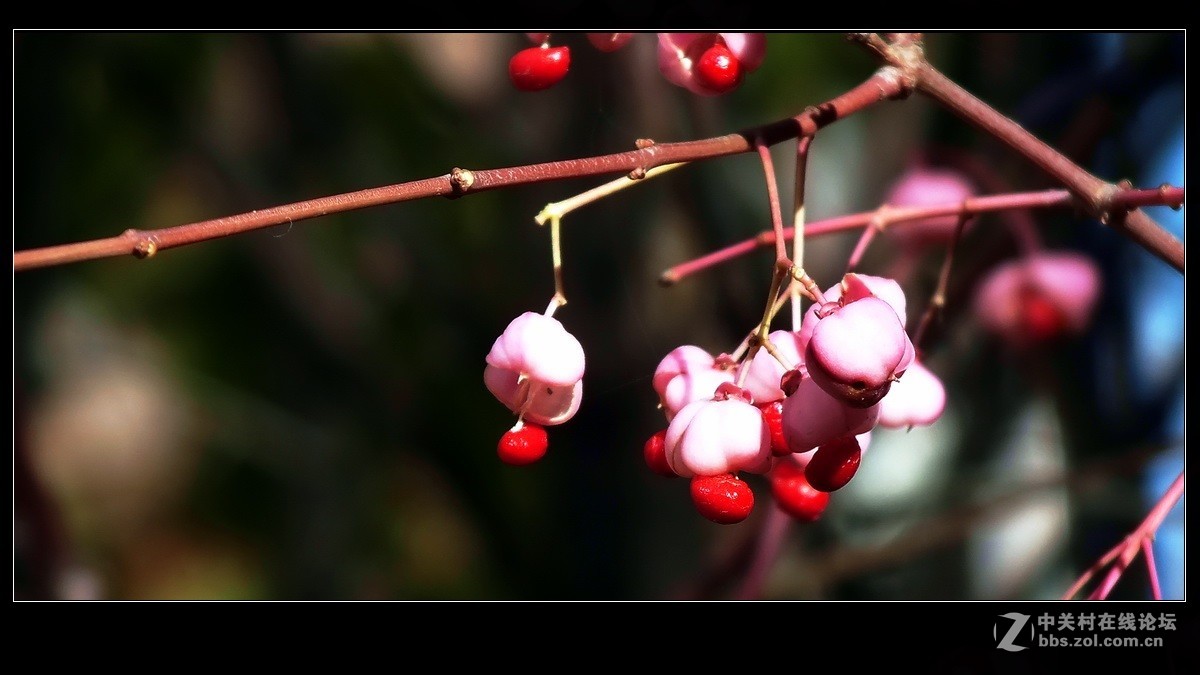 小品《秋实》支持好友独扛大旗！
