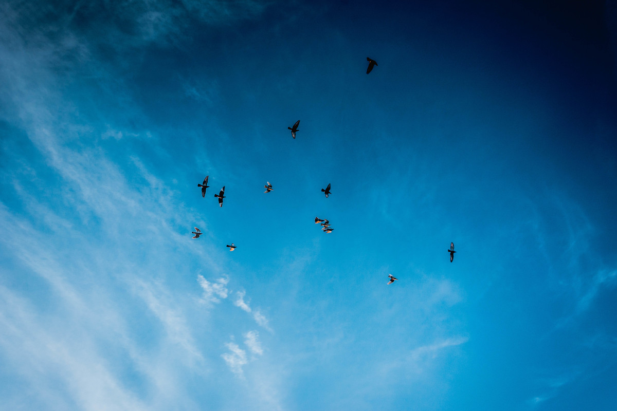 D7100+死马10-20mm f/4.0-5.6