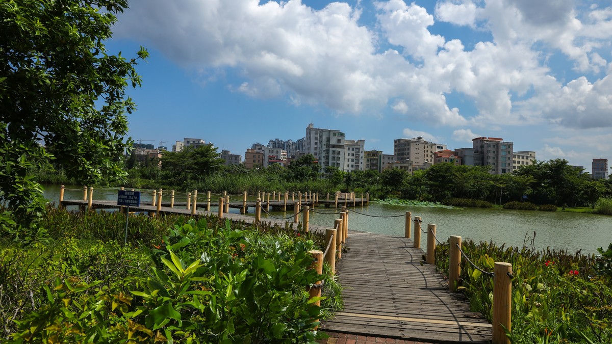 蓝天、白云、碧水、绿树